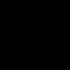 Meet your Posher, Pedro